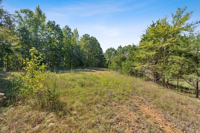 4455 Tarsus Rd, Palmyra, TN 37142 - view of tree filled area
