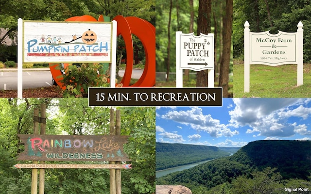 2385 Clear Brooks Dr, Signal Mountain, TN 37377 - exterior view of a mountainous background and a forest