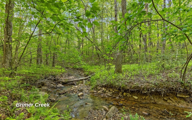 2385 Clear Brooks Dr, Signal Mountain, TN 37377 - view of woods