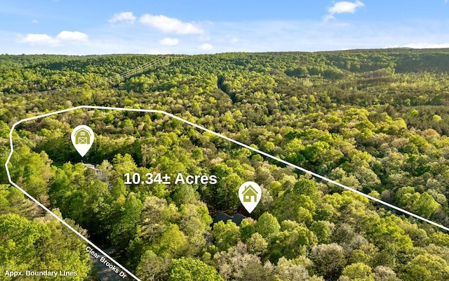 2385 Clear Brooks Dr, Signal Mountain, TN 37377 - aerial overview of property's location with a forest and property boundaries highlighted