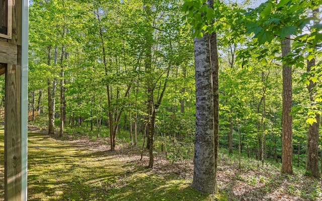 2385 Clear Brooks Dr, Signal Mountain, TN 37377 - view of tree filled area