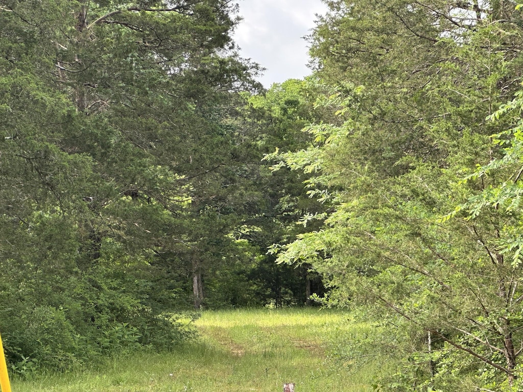 0 Pyles Rd, Chapel Hill, TN 37034