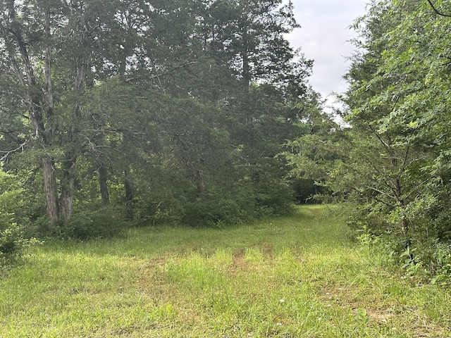0 Pyles Rd, Chapel Hill, TN 37034