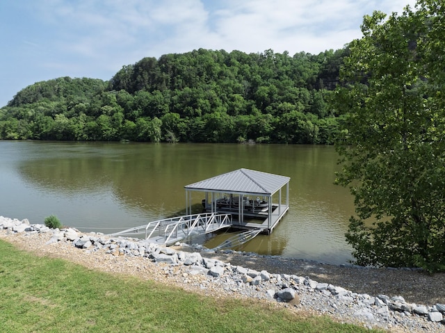 1054 Sunrise Cir, Ashland City, TN 37015