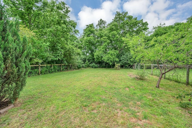 405 Delaware Ave, Madison, TN 37115 - photo 28