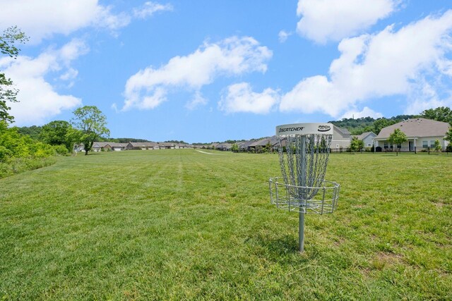 333 Blackthorn Ln, Gallatin, TN 37066 - photo 53