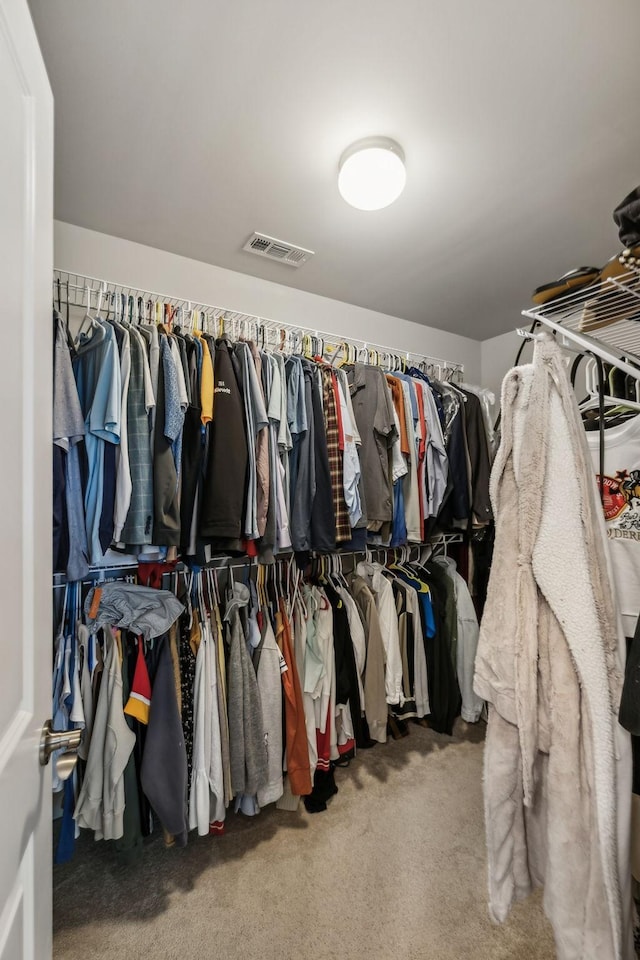321 Union Pier Dr, Mount Juliet, TN 37122 - walk in closet featuring carpet floors