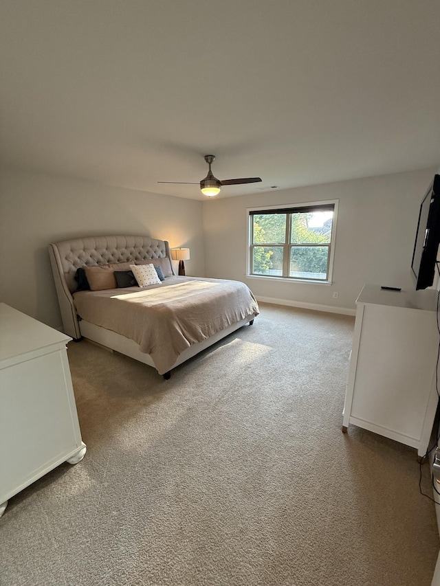 321 Union Pier Dr, Mount Juliet, TN 37122 - photo 74