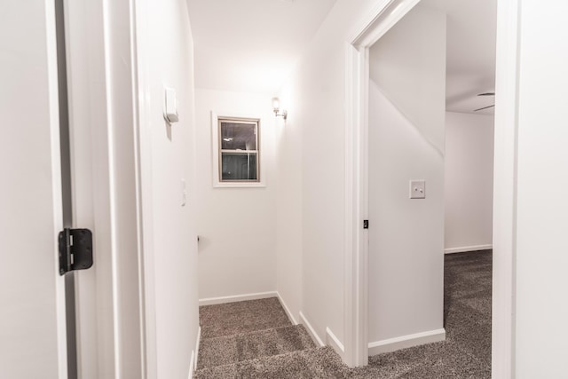 27 Sevier St, Clarksville, TN 37042 - corridor featuring dark colored carpet and baseboards