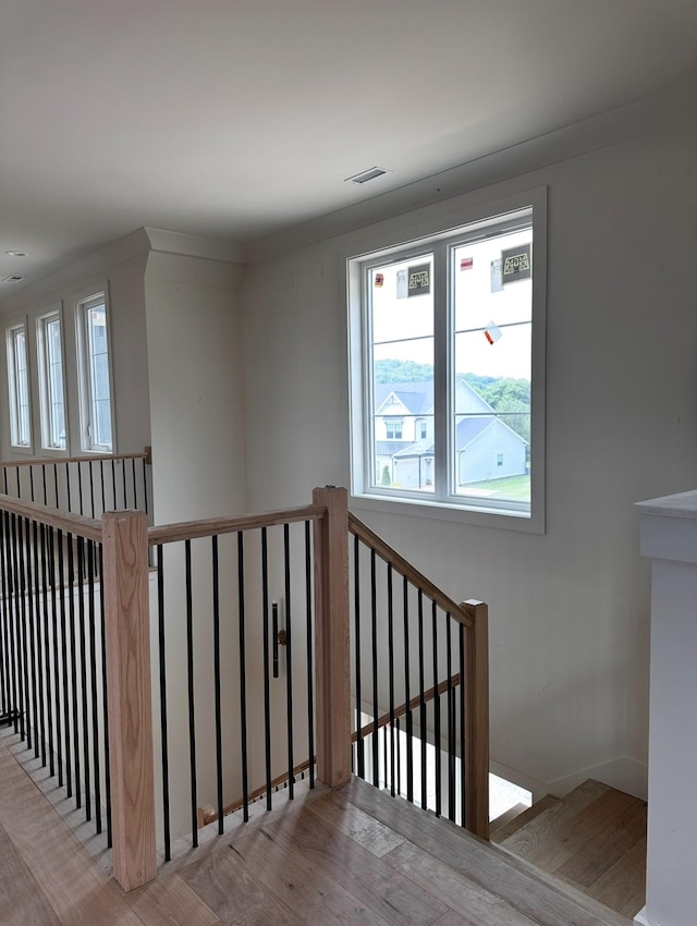 3038 Lilybelle Ct, Arrington, TN 37014 - photo 17