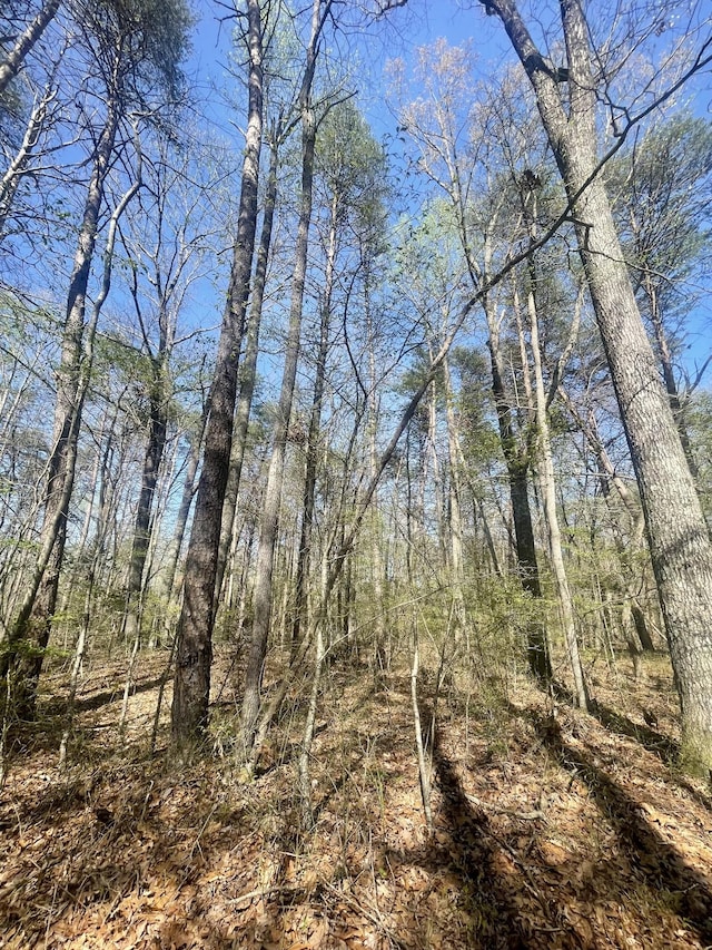 0 Jumpoff Mountain Rd, Sewanee, TN 37375