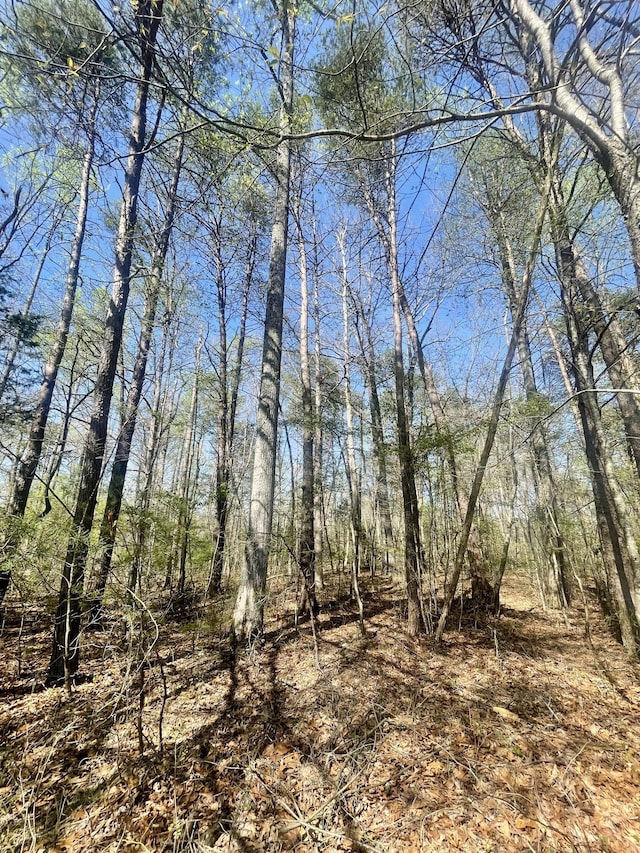 0 Jumpoff Mountain Rd, Sewanee, TN 37375