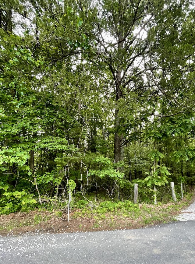 0 Jumpoff Mountain Rd, Sewanee, TN 37375