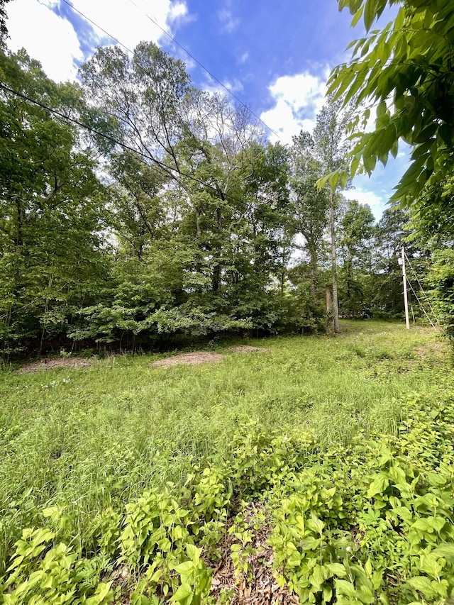 0 Jumpoff Mountain Rd, Sewanee, TN 37375