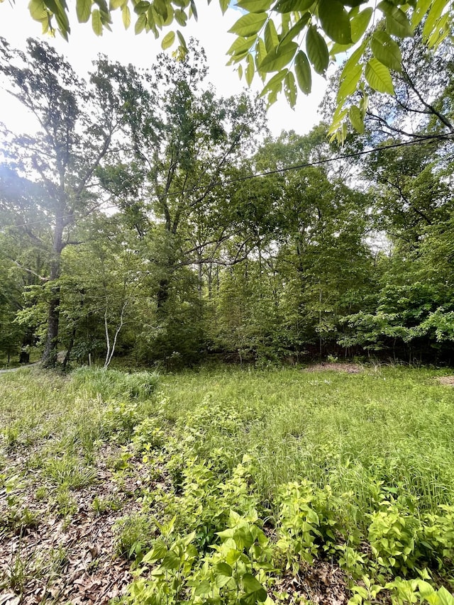 0 Jumpoff Mountain Rd, Sewanee, TN 37375