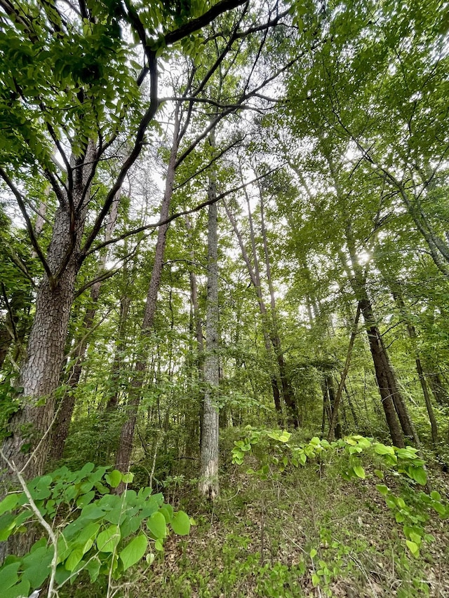 0 Jumpoff Mountain Rd, Sewanee, TN 37375