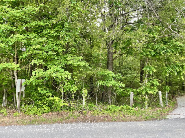0 Jumpoff Mountain Rd, Sewanee, TN 37375