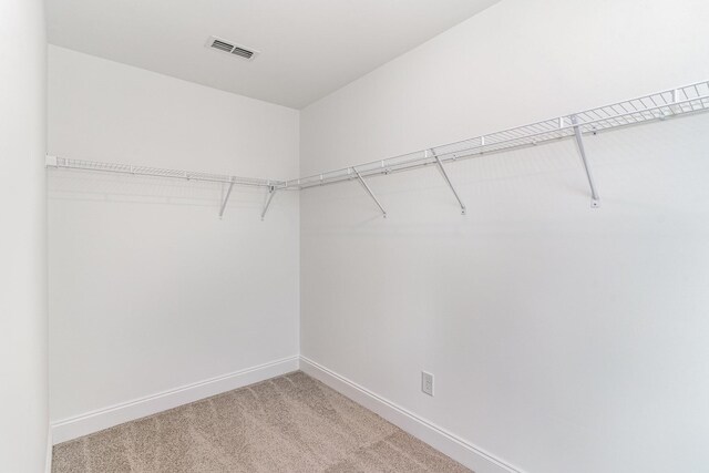 1075 Wrights Mill Rd Unit Arb066, Spring Hill, TN 37174 - spacious closet with light carpet