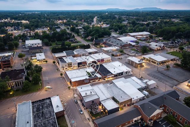 105 W Walnut St, Smithville, TN 37166 - drone / aerial view