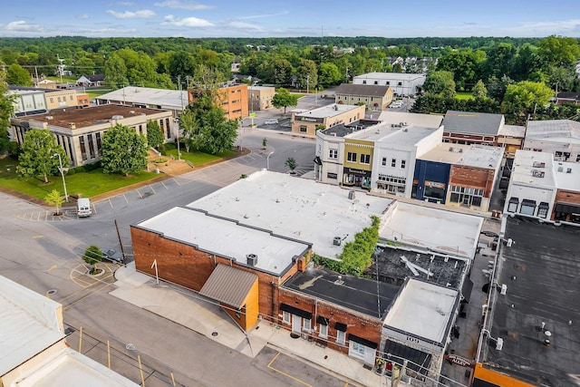 105 W Walnut St, Smithville, TN 37166 - drone / aerial view