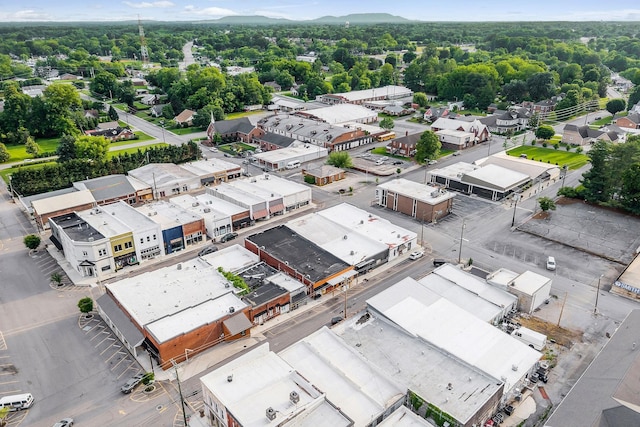 105 W Walnut St, Smithville, TN 37166 - aerial view