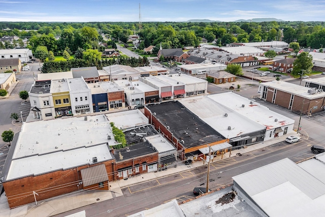 105 W Walnut St, Smithville, TN 37166 - aerial view