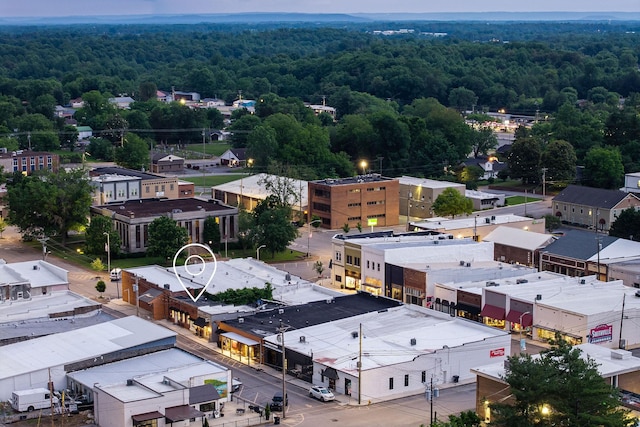 105 W Walnut St, Smithville, TN 37166 - bird's eye view of a heavily wooded area