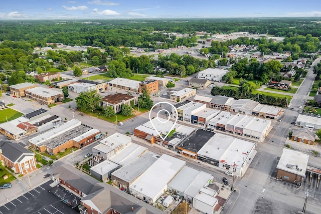 105 W Walnut St, Smithville, TN 37166 - drone / aerial view