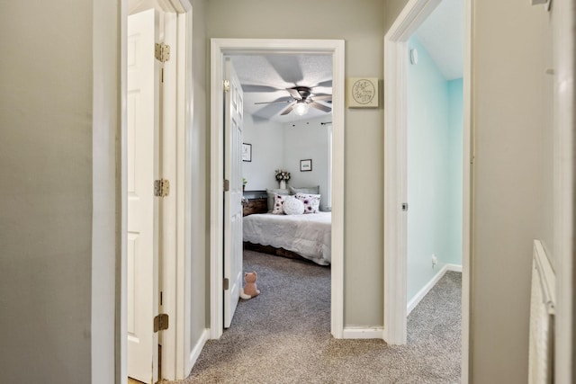 2236 Kim Dr, Clarksville, TN 37043 - corridor with carpet floors and baseboards