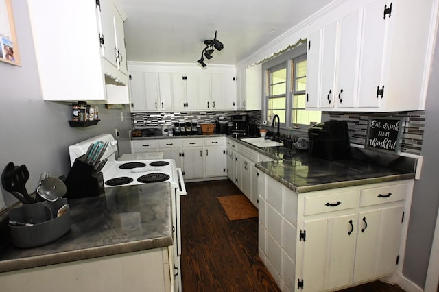 9097 Denton Rd, Linden, TN 37096 - kitchen with a sink, backsplash, white cabinetry, and dark wood-style flooring
