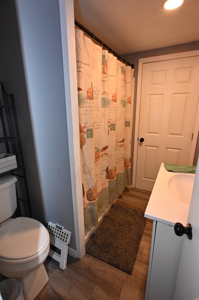9097 Denton Rd, Linden, TN 37096 - bathroom featuring wood finished floors, toilet, vanity, and curtained shower
