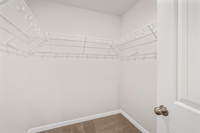 2042 Lala Loop, White Bluff, TN 37187 - walk in closet with carpet