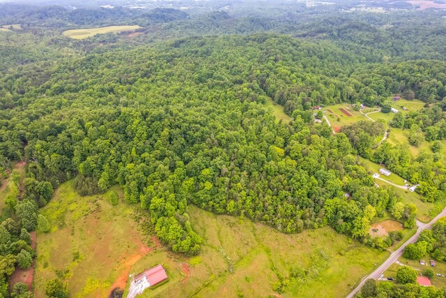 649 Little Notchey Creek Rd, Madisonville, TN 37354 - photo 16