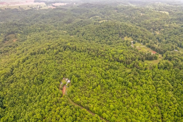 649 Little Notchey Creek Rd, Madisonville, TN 37354 - photo 12