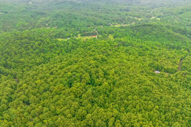 649 Little Notchey Creek Rd, Madisonville, TN 37354 - photo 30