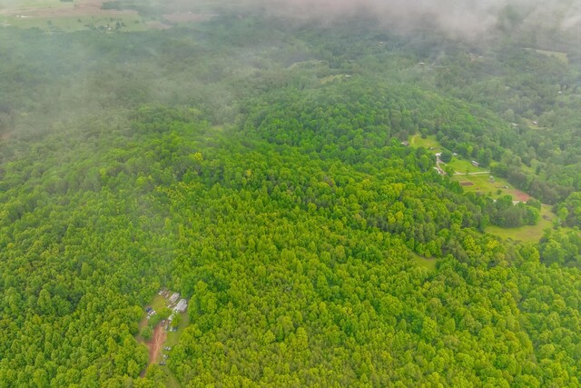 649 Little Notchey Creek Rd, Madisonville, TN 37354 - photo 32
