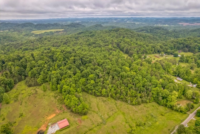 649 Little Notchey Creek Rd, Madisonville, TN 37354 - photo 18