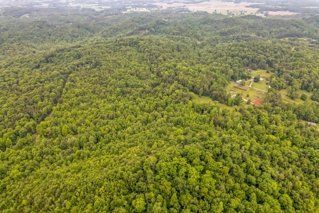 649 Little Notchey Creek Rd, Madisonville, TN 37354 - photo 14