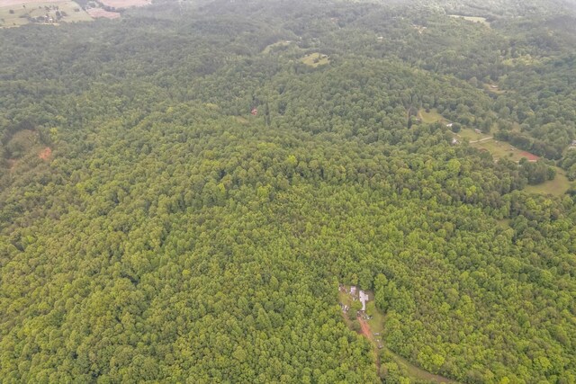 649 Little Notchey Creek Rd, Madisonville, TN 37354 - photo 11