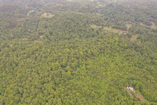 649 Little Notchey Creek Rd, Madisonville, TN 37354 - photo 10