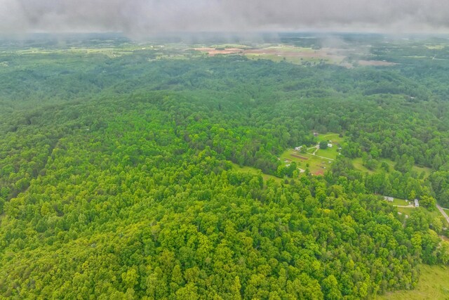 649 Little Notchey Creek Rd, Madisonville, TN 37354 - photo 35