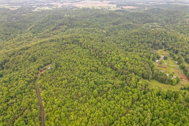649 Little Notchey Creek Rd, Madisonville, TN 37354 - photo 13