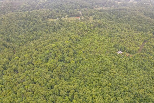 649 Little Notchey Creek Rd, Madisonville, TN 37354 - photo 8