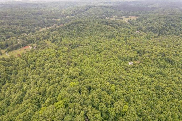 649 Little Notchey Creek Rd, Madisonville, TN 37354 - photo 5