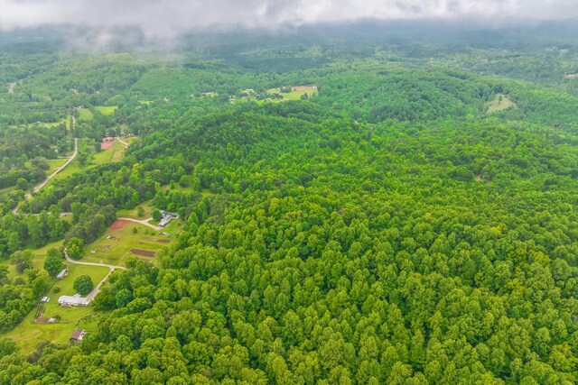 649 Little Notchey Creek Rd, Madisonville, TN 37354 - photo 29