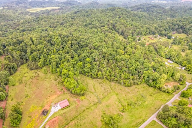 649 Little Notchey Creek Rd, Madisonville, TN 37354 - photo 17