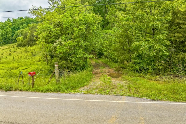 649 Little Notchey Creek Rd, Madisonville, TN 37354 - photo 26