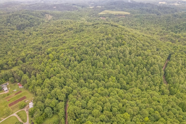 649 Little Notchey Creek Rd, Madisonville, TN 37354 - photo 3
