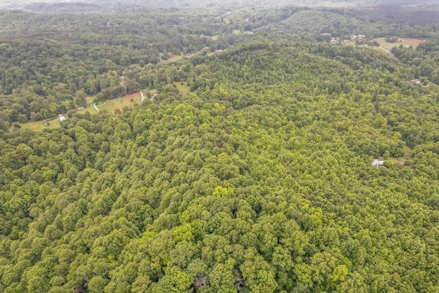 649 Little Notchey Creek Rd, Madisonville, TN 37354 - photo 6
