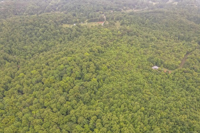 649 Little Notchey Creek Rd, Madisonville, TN 37354 - photo 7